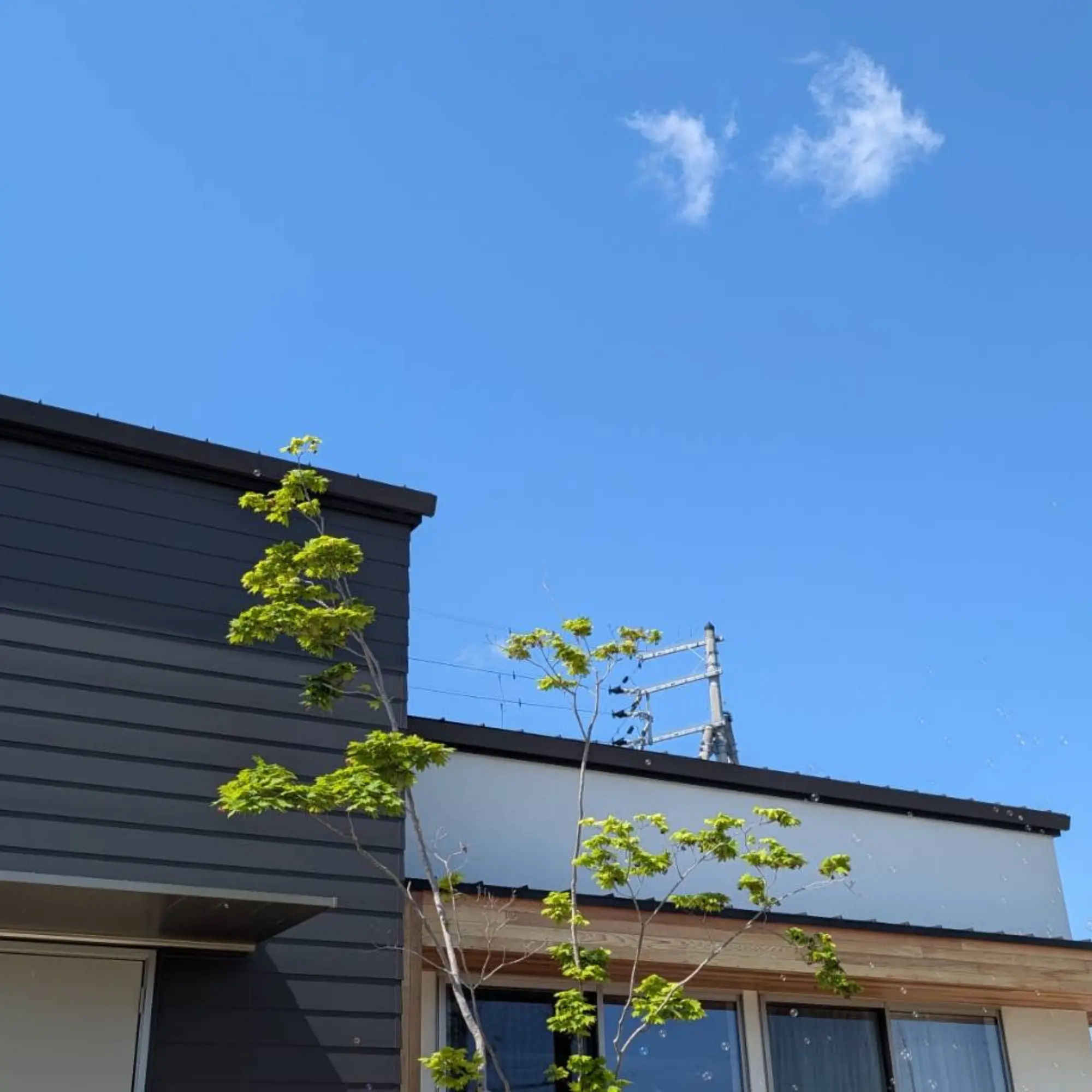 和歌山で平屋か2階建て建てるならハコラボ