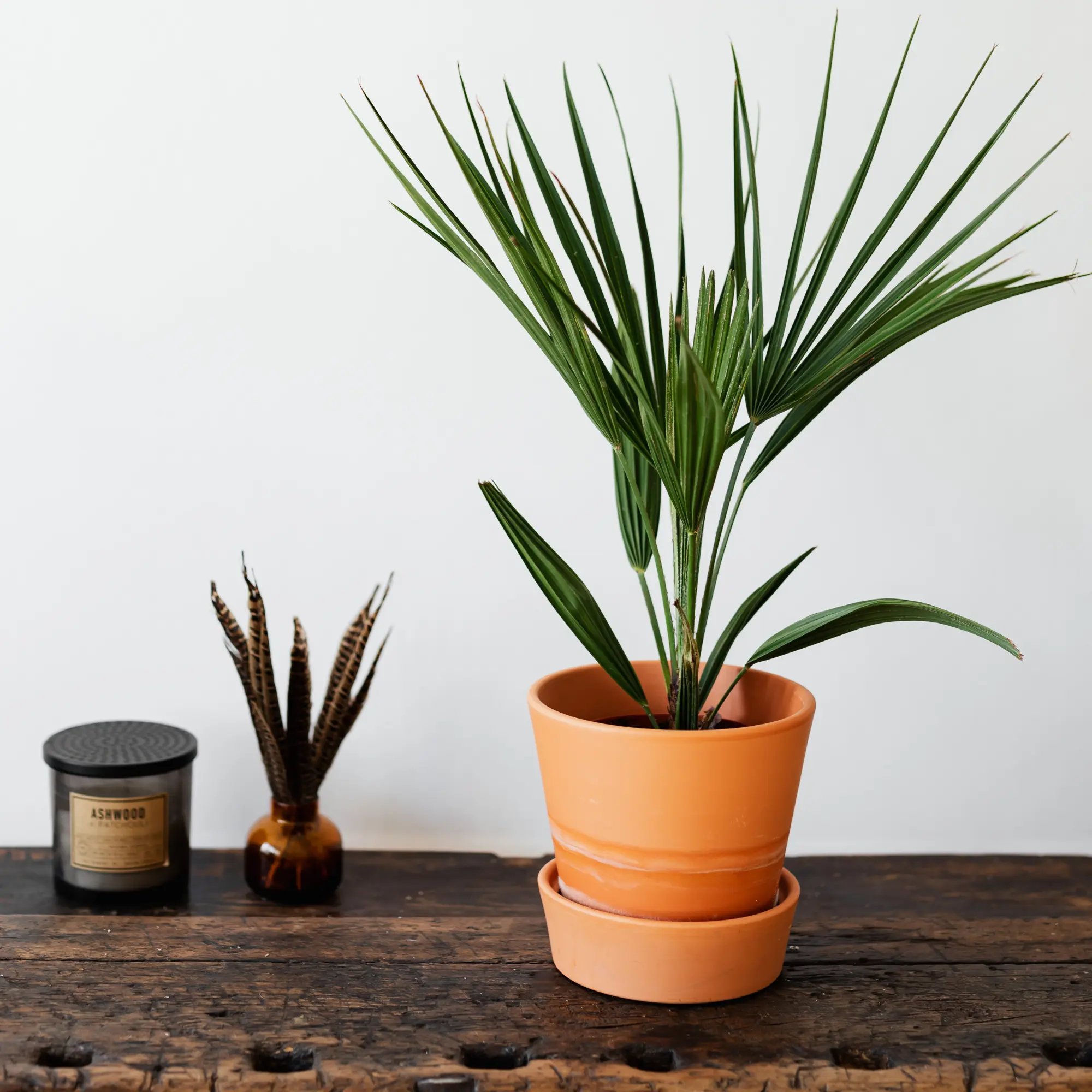 造作、既製品を比較するならハコラボ（和歌山）