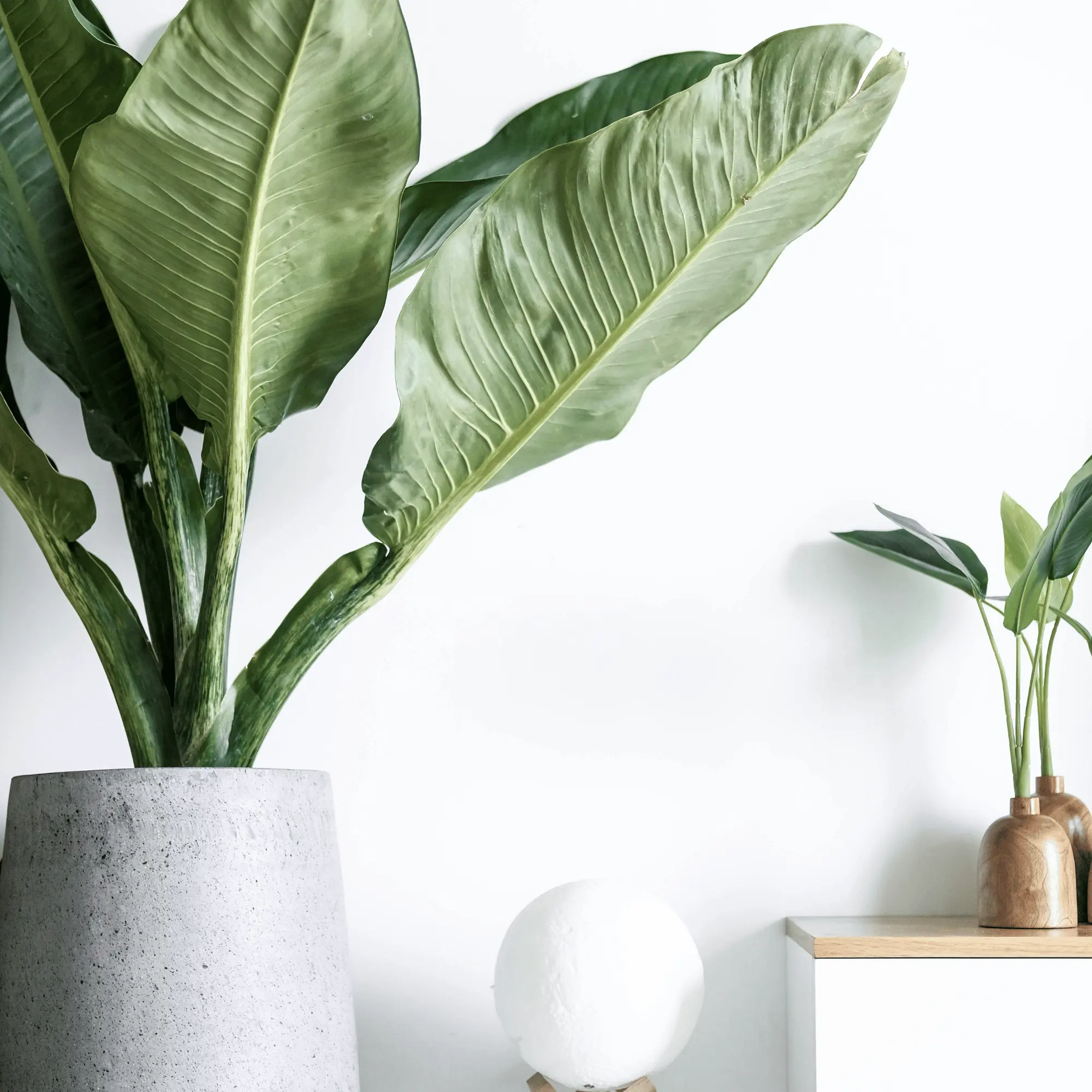 注文住宅の住宅会社を選ぶならハコラボ（和歌山）