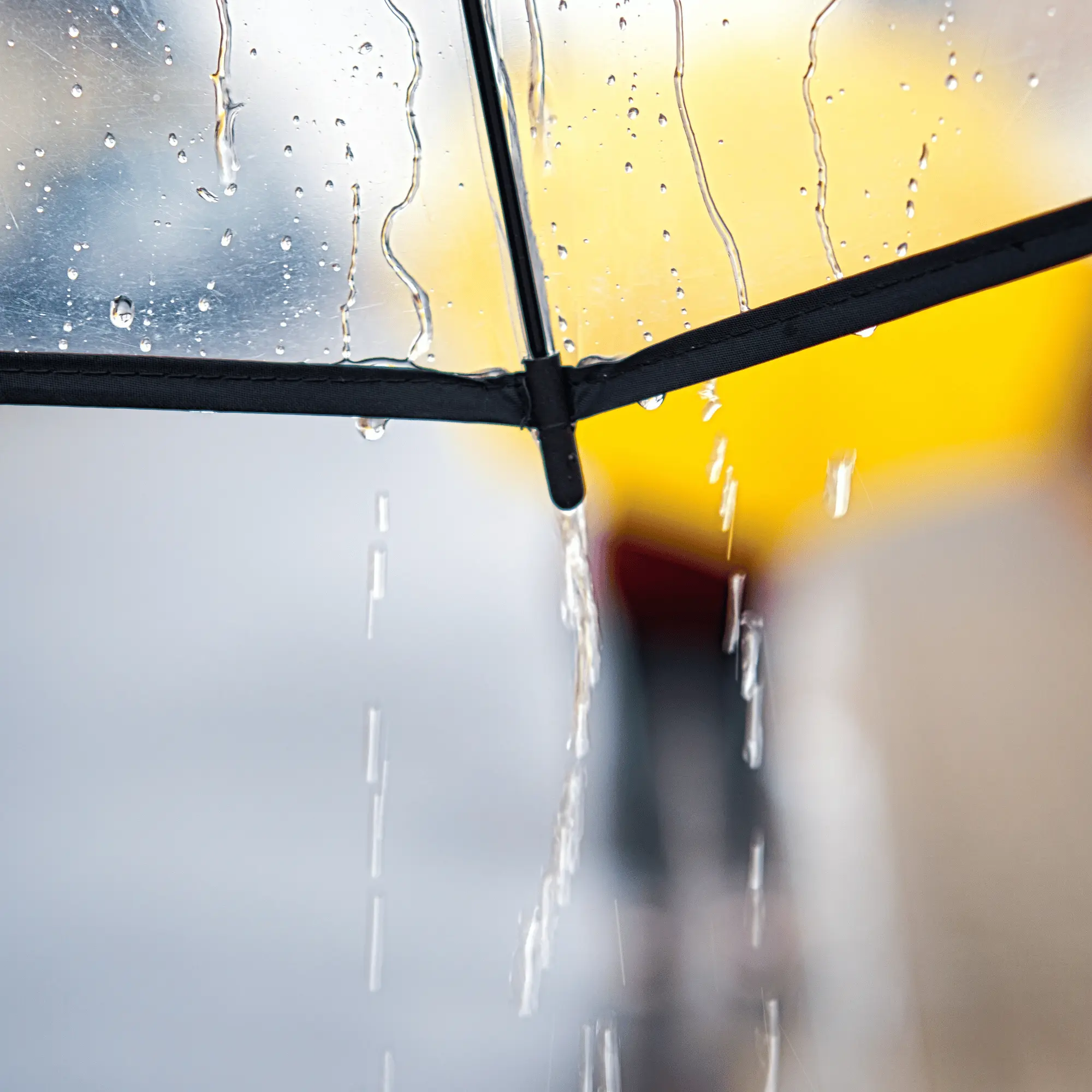 ビルトインガレージのある家を建てるならハコラボ（和歌山）