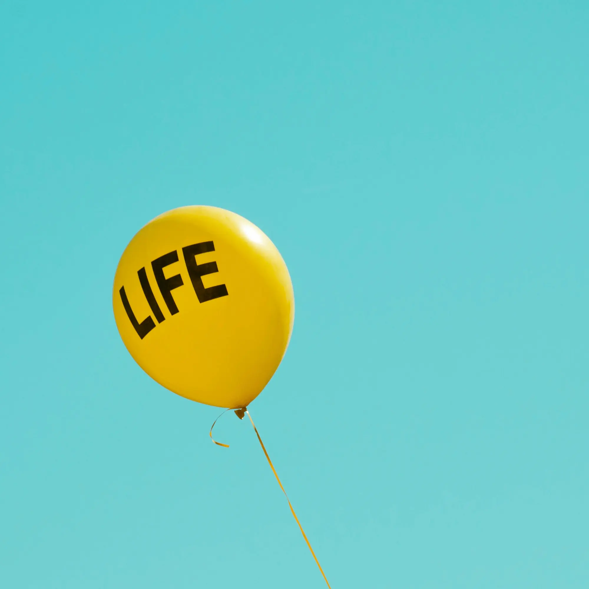 ビルトインガレージのある家を建てるならハコラボ（和歌山）